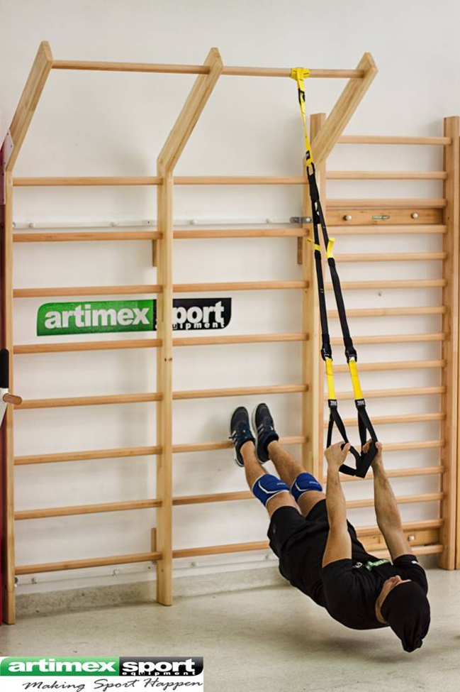 Swedish Ladder Wall Bars Gymnastic Climbing Rack Indoor Workout 